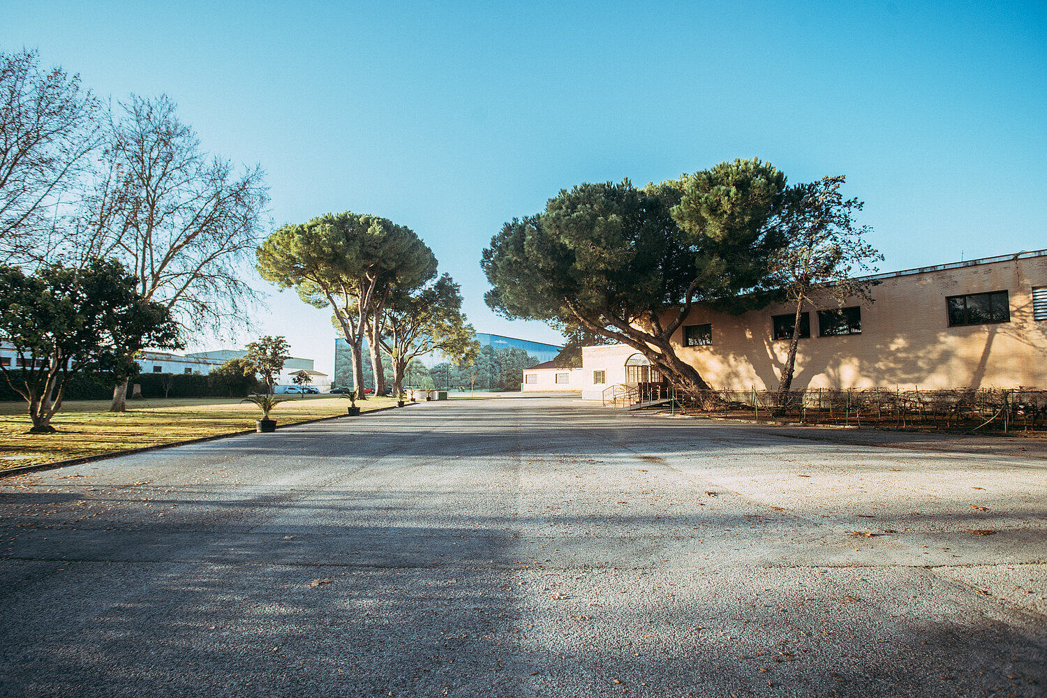 Bodegas Páez Morilla