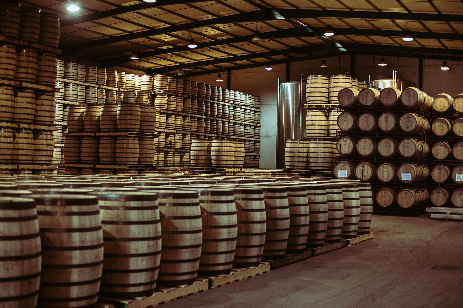 Bodegas Páez Morilla